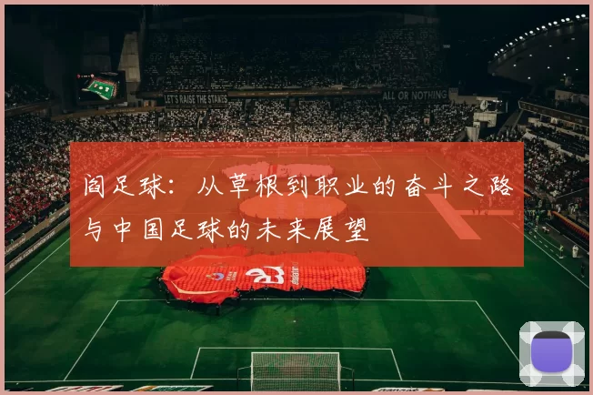 阎足球：从草根到职业的奋斗之路与中国足球的未来展望