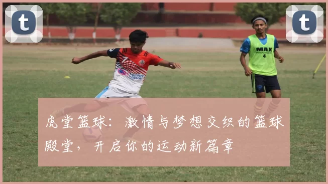 虎堂篮球：激情与梦想交织的篮球殿堂，开启你的运动新篇章