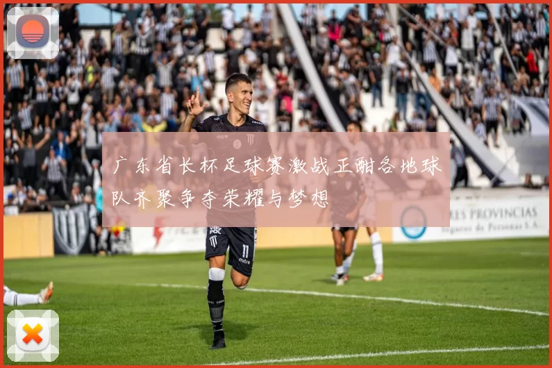 广东省长杯足球赛激战正酣各地球队齐聚争夺荣耀与梦想