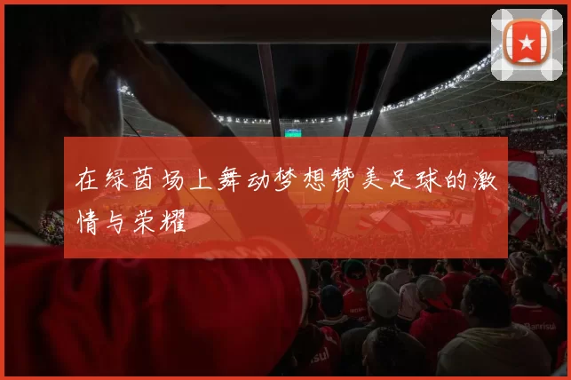 在绿茵场上舞动梦想赞美足球的激情与荣耀