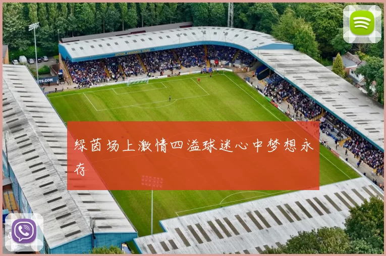 绿茵场上激情四溢球迷心中梦想永存